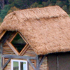 thatch roof