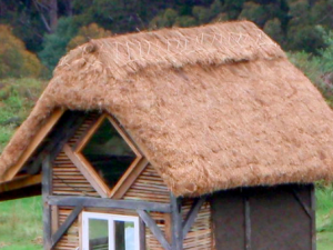 thatch roof